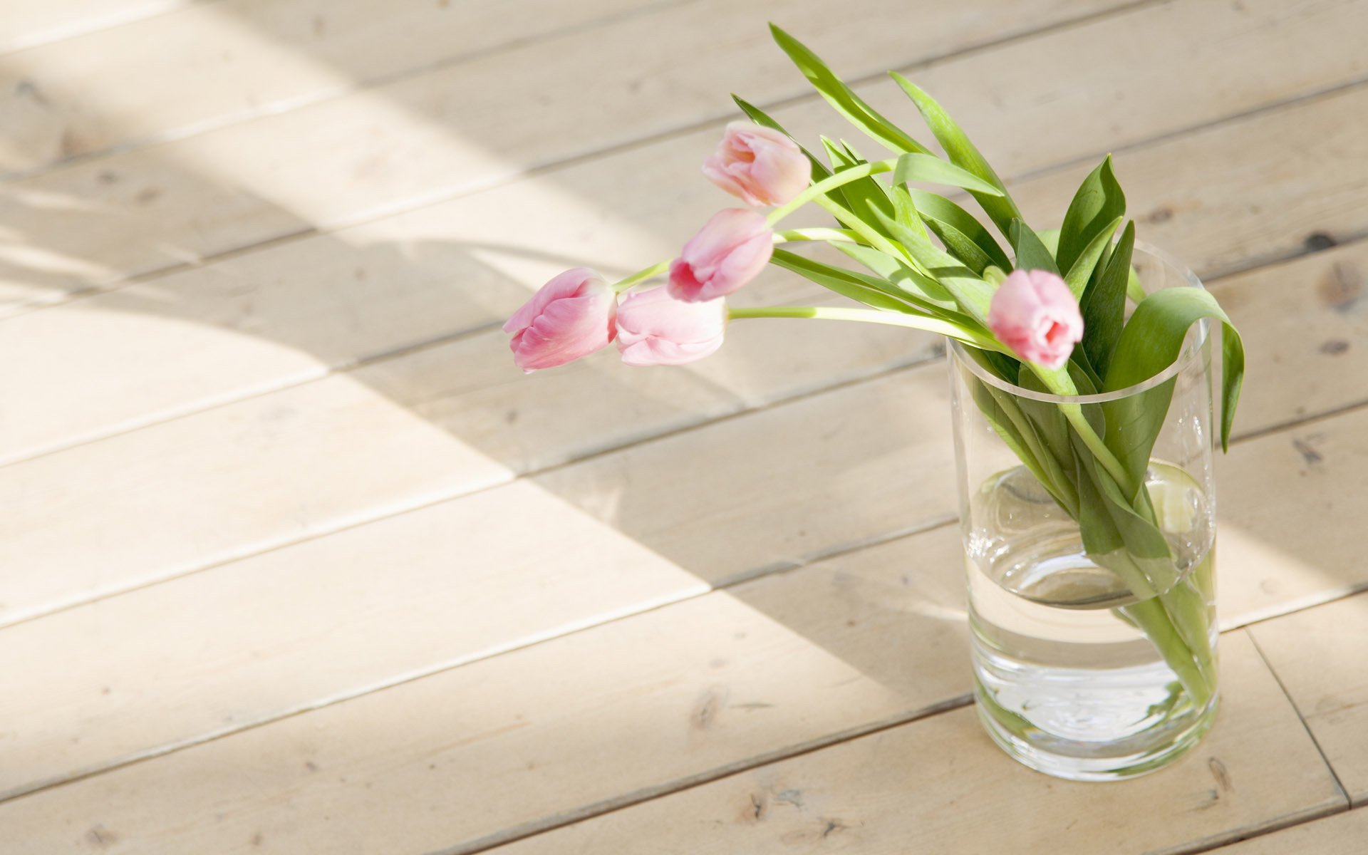 tulipes fleurs sol printemps photo vase papier peint bouquet verre eau fraîcheur tulipes roses