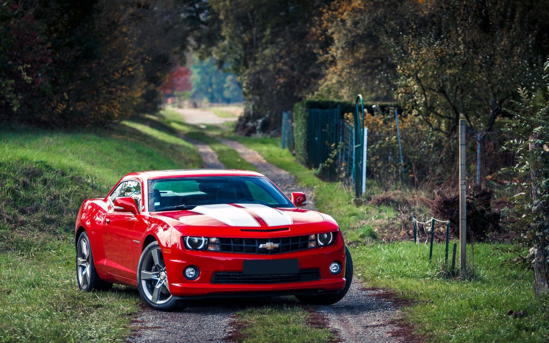 camaro rojo coche del músculo chevrolet chevrolet camaro