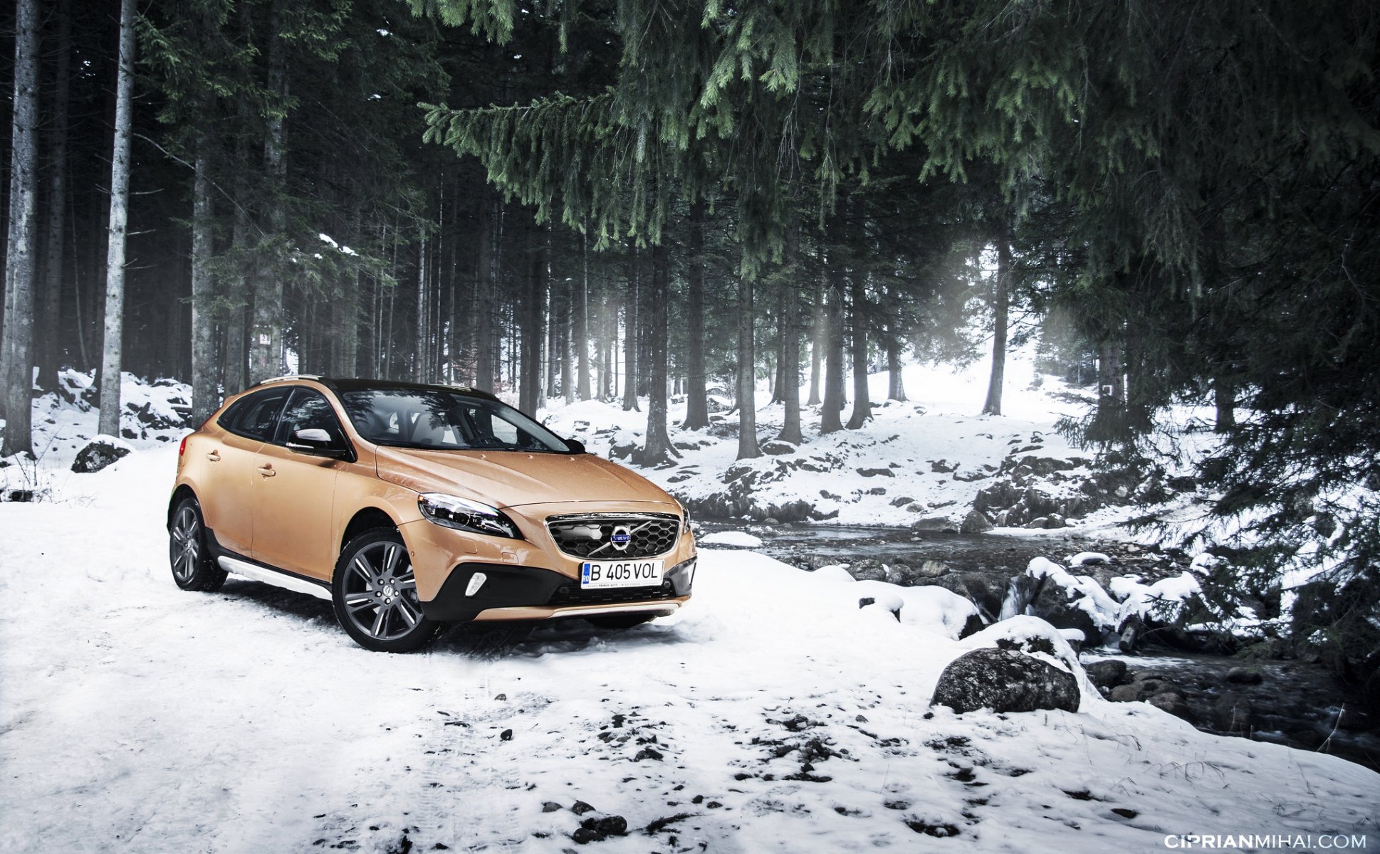 volvo volvo v40 cross county snow tree river spruce