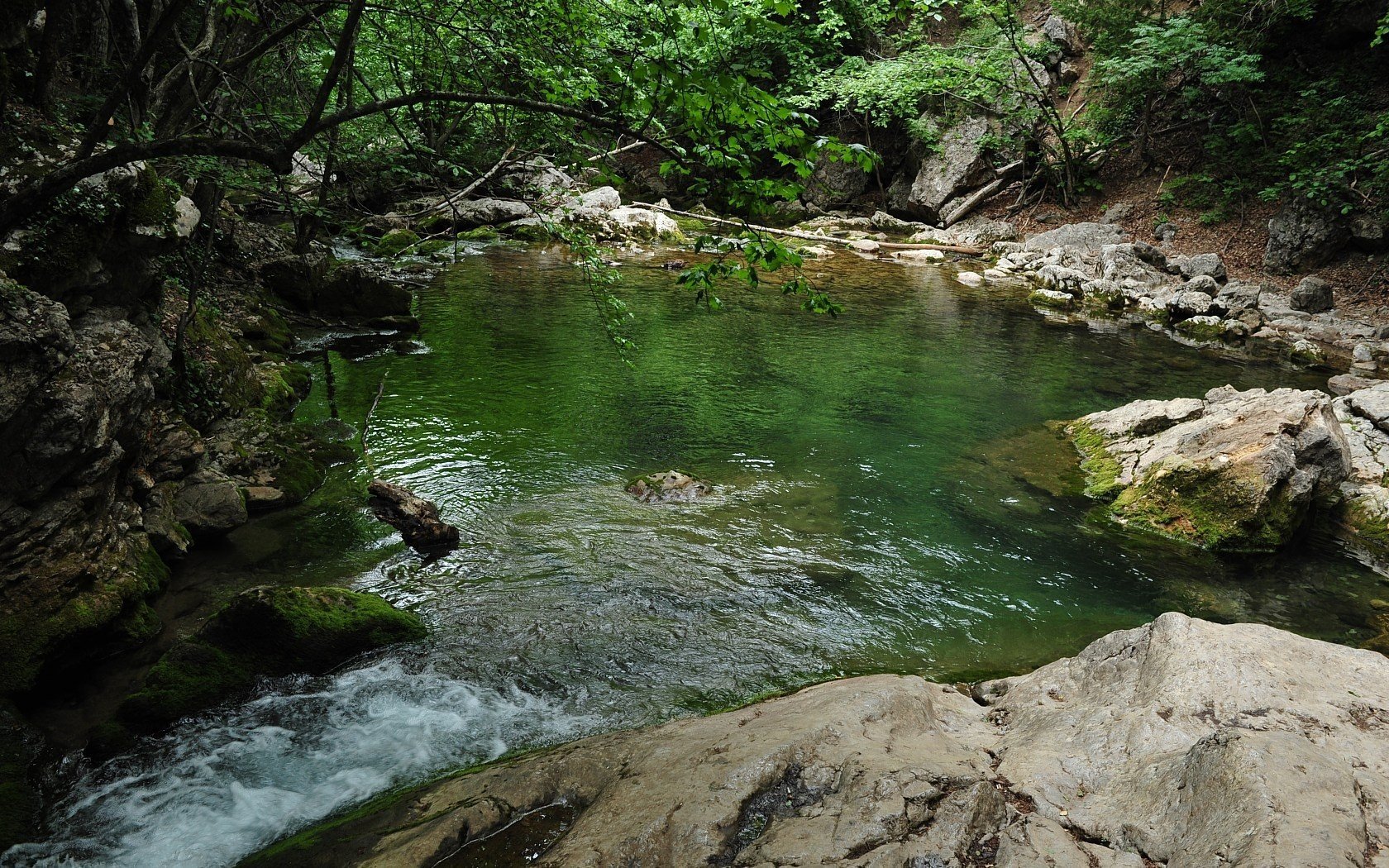 gran cañón de crimea crimea lago naturaleza piedras árboles hojas vegetación arbustos montañas musgo agua pura bosque agua