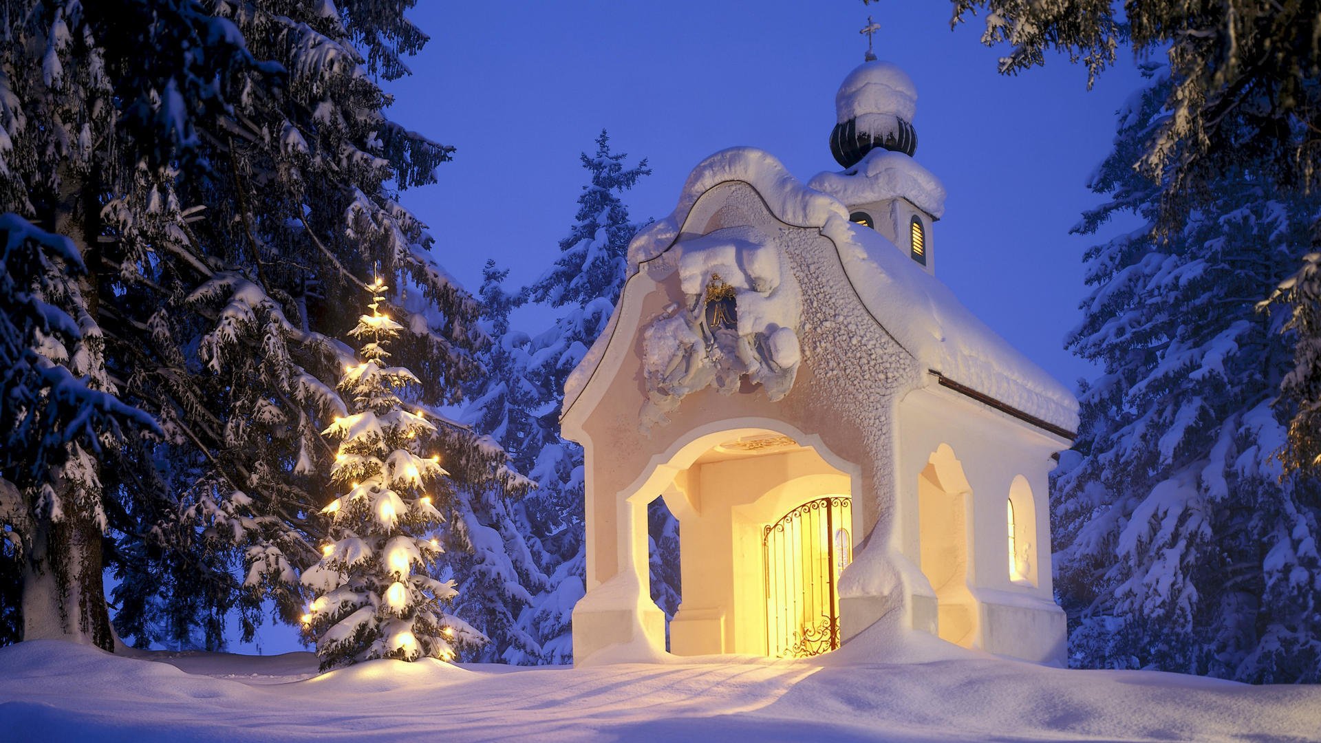 hiver arbre de noël neige noël chapelle forêt nouvel an