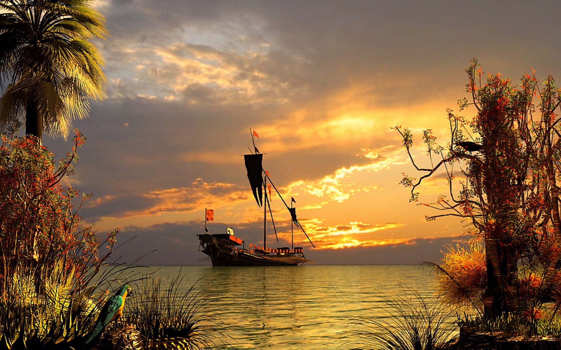 mar paisaje yate palmeras tarde puesta de sol loro plantas nubes superficie cielo agua