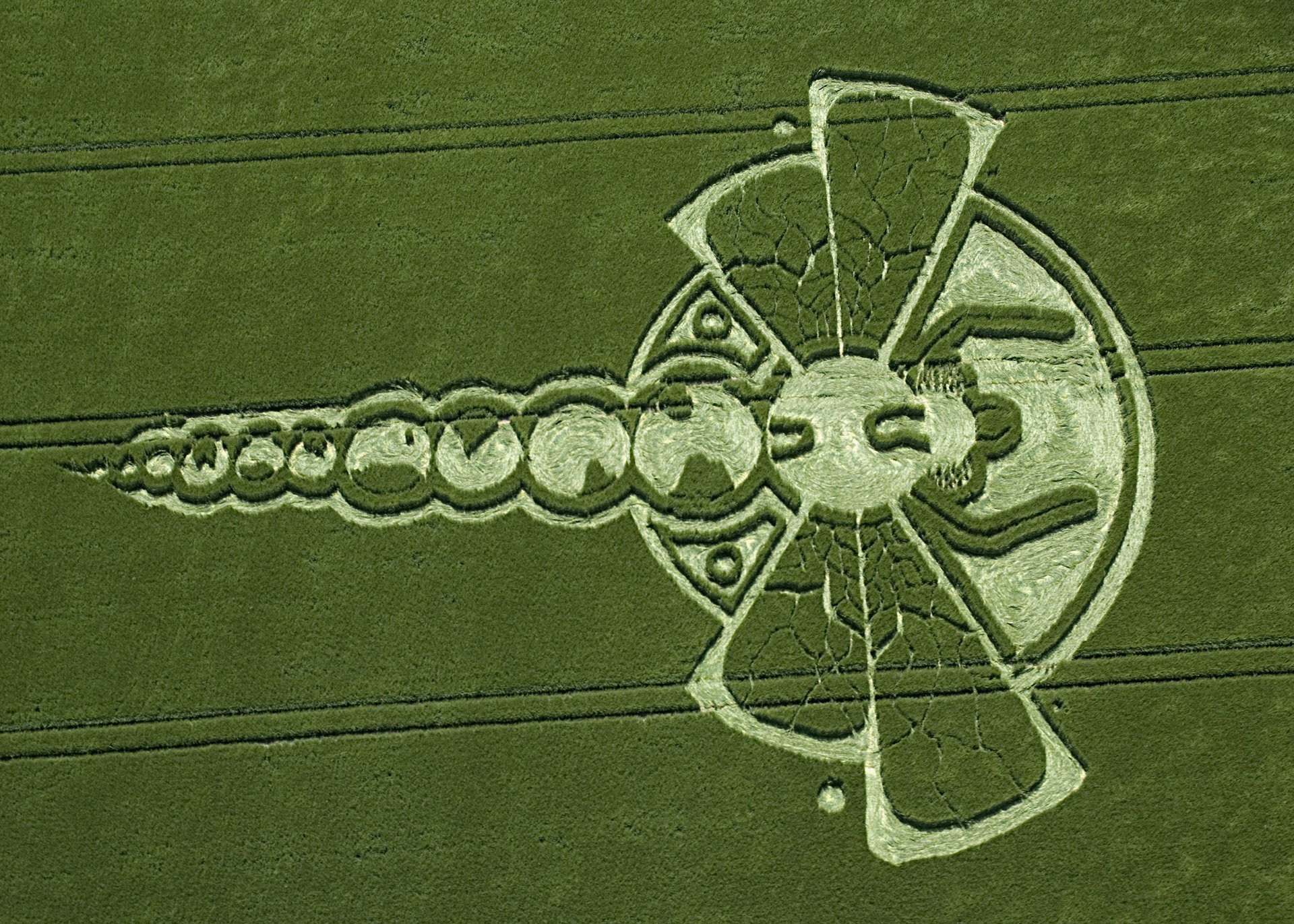 crop circles ovni ufo aliens aliens signes avertissements 2012 chiffre code libellule nibiru cataclysme zetatalk champ dessin modèle géométrie