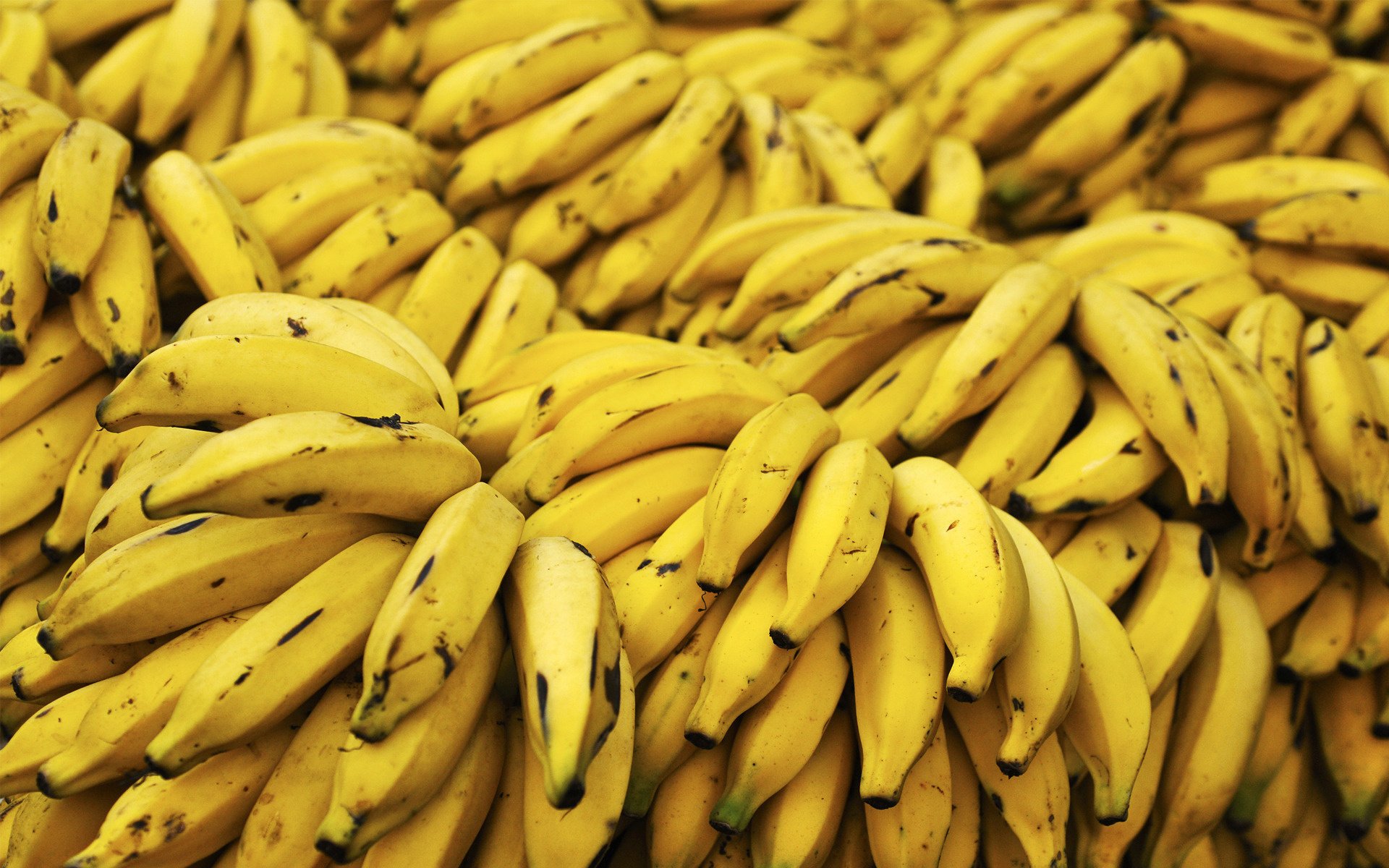 food bananas color yellow fruit