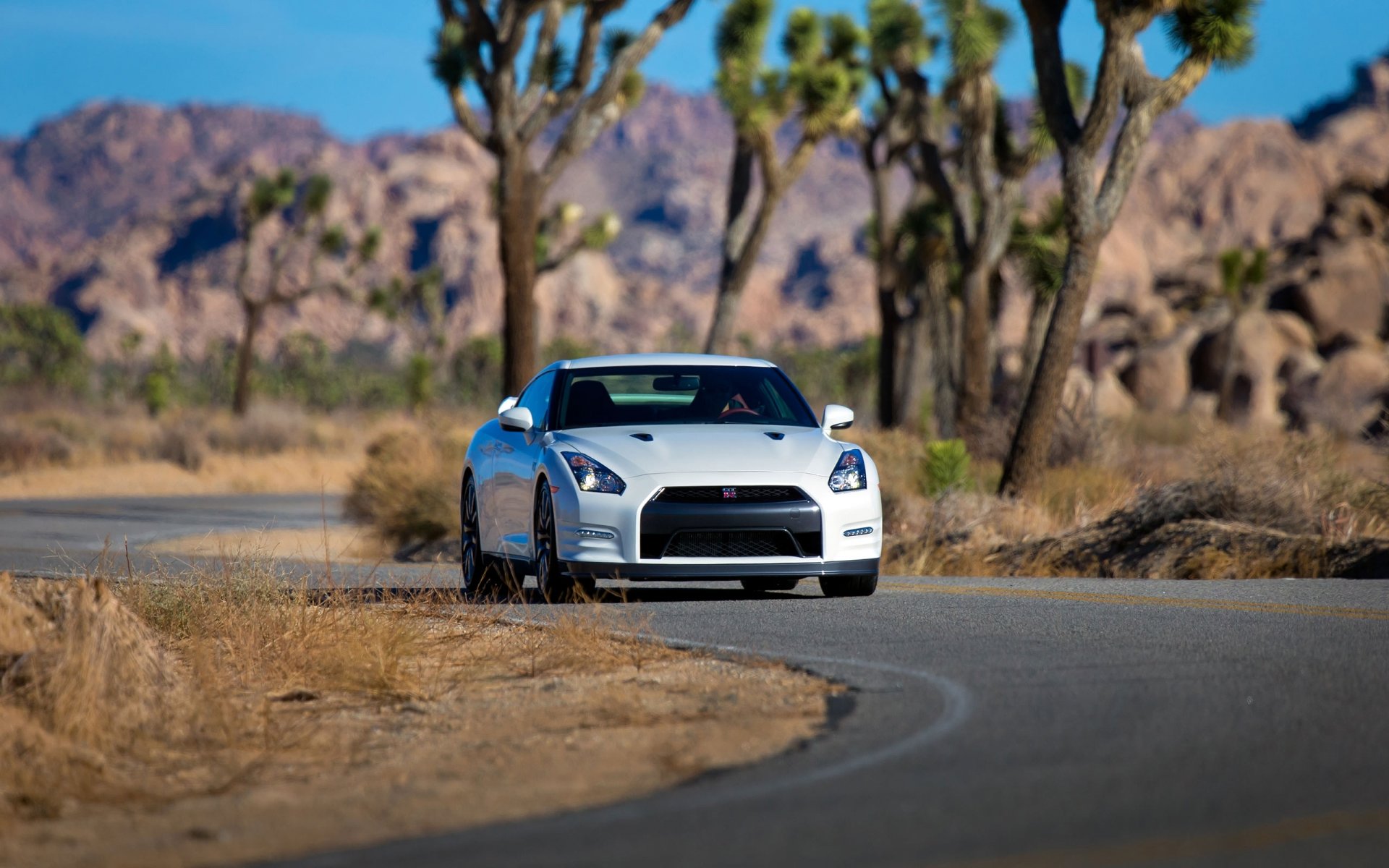 nissan gt-r biały auto samochód przód asfalt droga