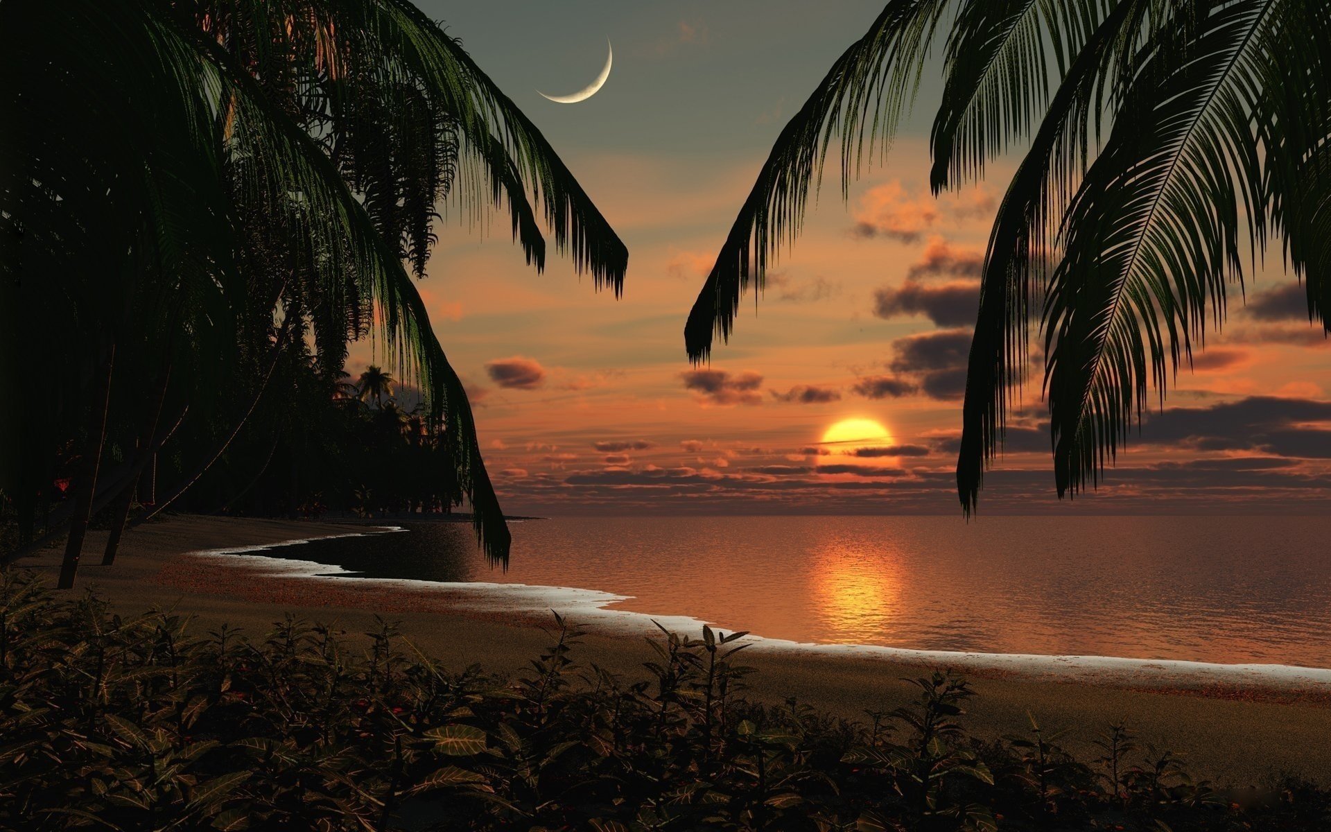 coucher du soleil soir mer palmiers horizon surface lune nuages paysage côte côte plantes romance eau ciel