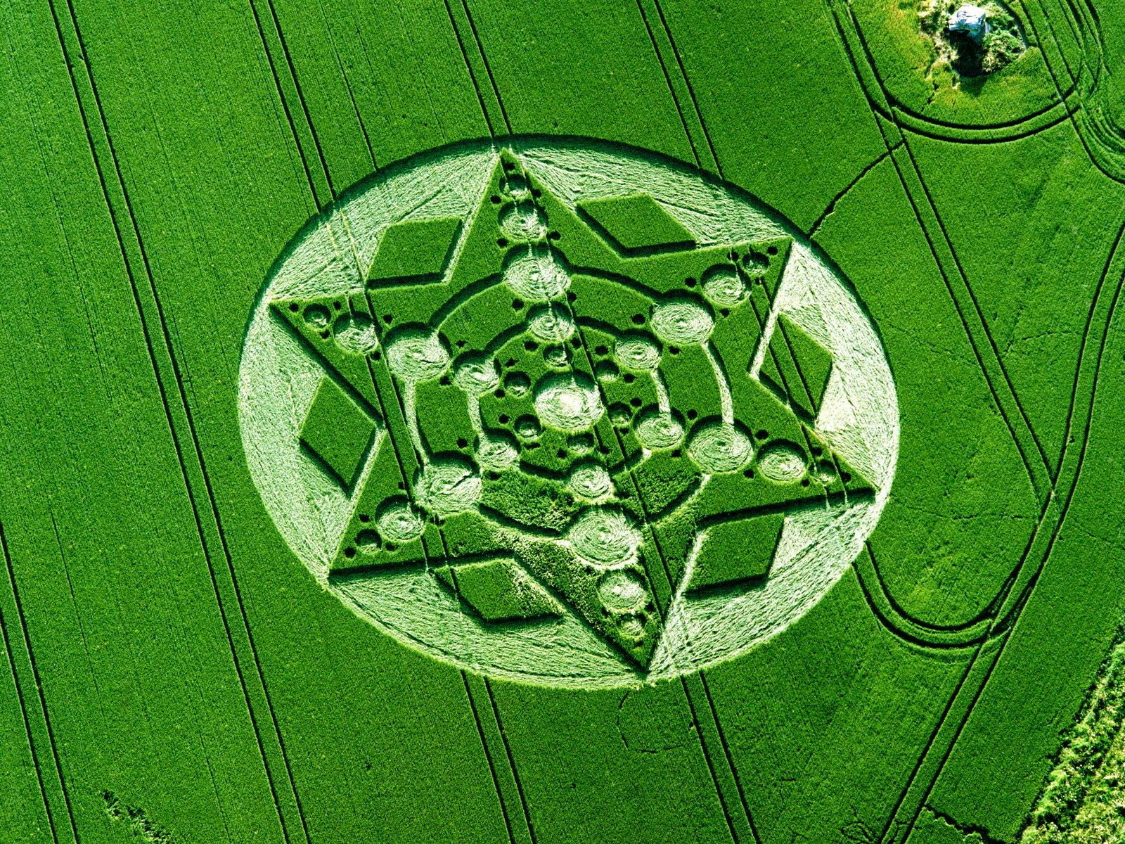 crop circles kreise auf feldern ufo ufo aliens aliens zeichen warnungen 2012 chiffre code feld muster muster geometrie