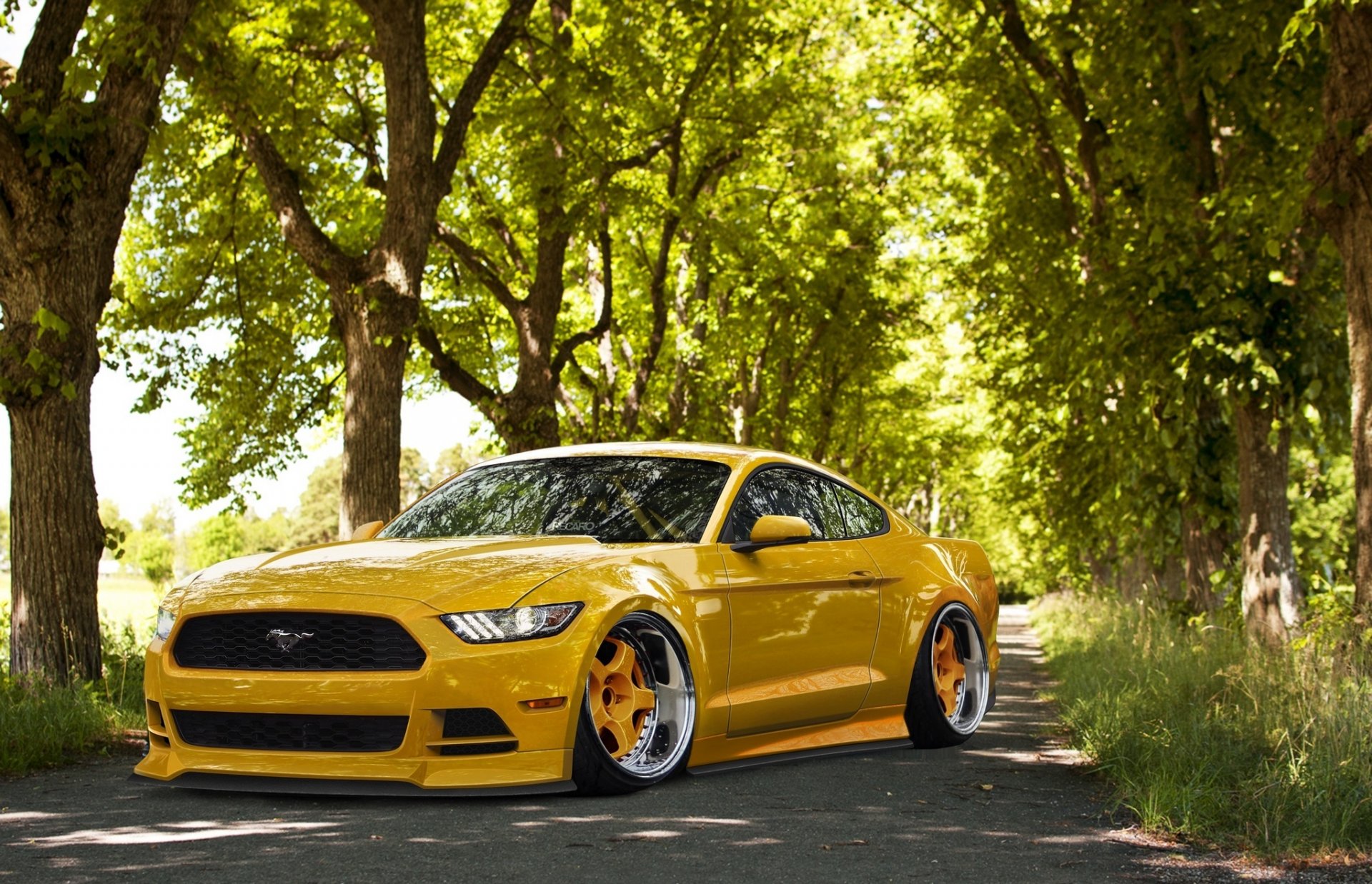 ford mustang 2015 posizione giallo tuning ruote anteriori