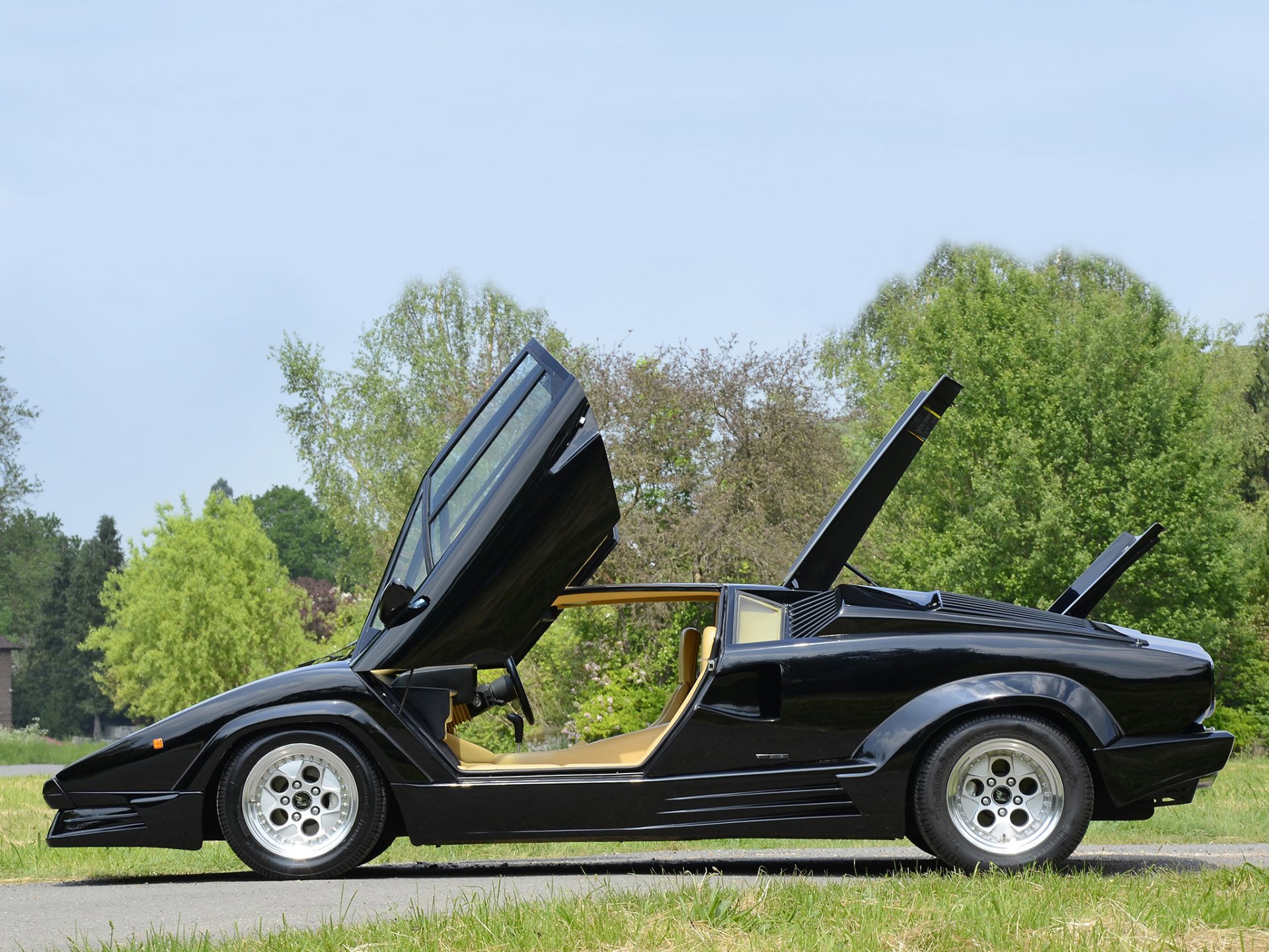 lamborghini countach a side view kountach doors hood tree