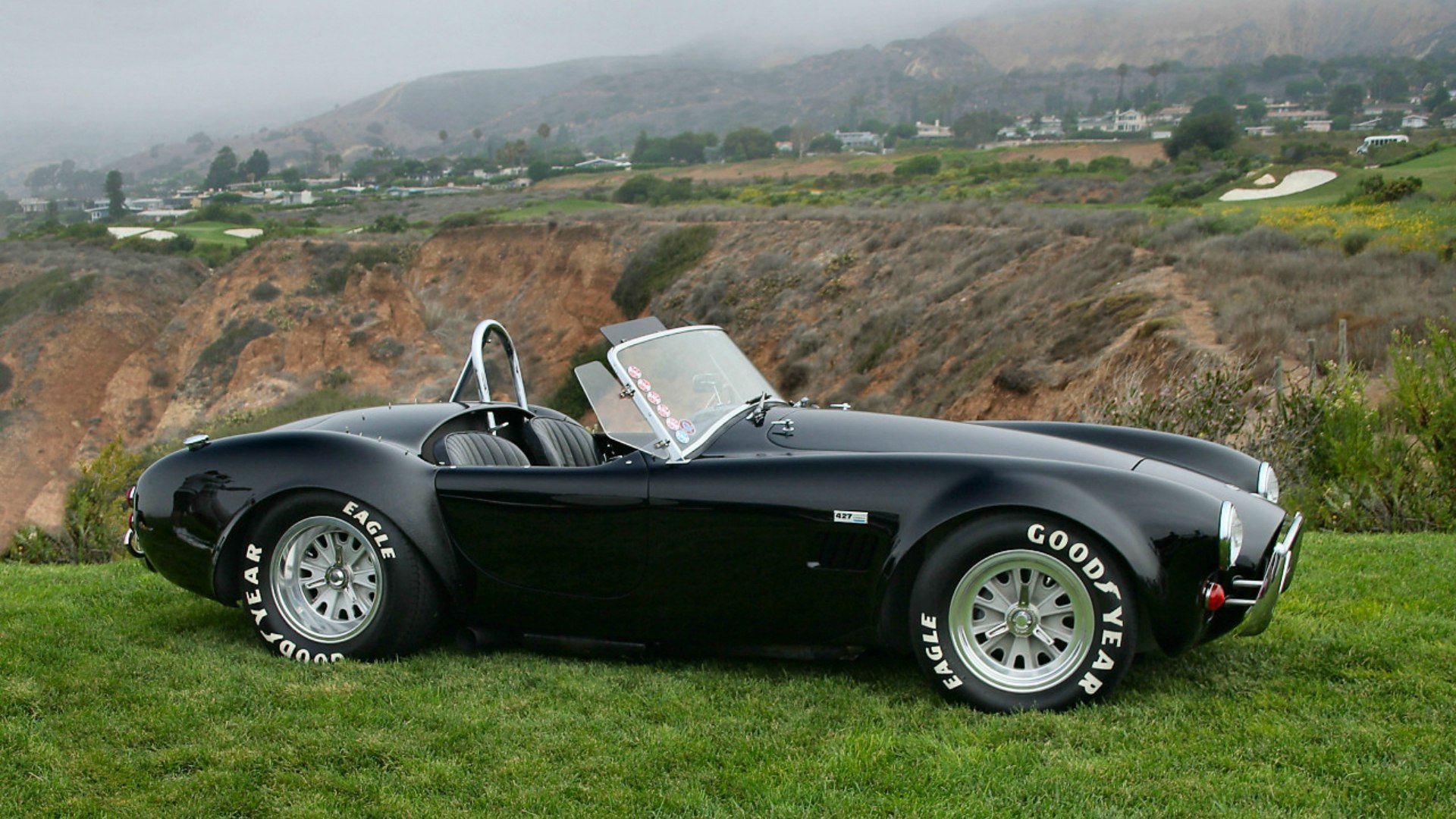 shelby cobra roadster 1966