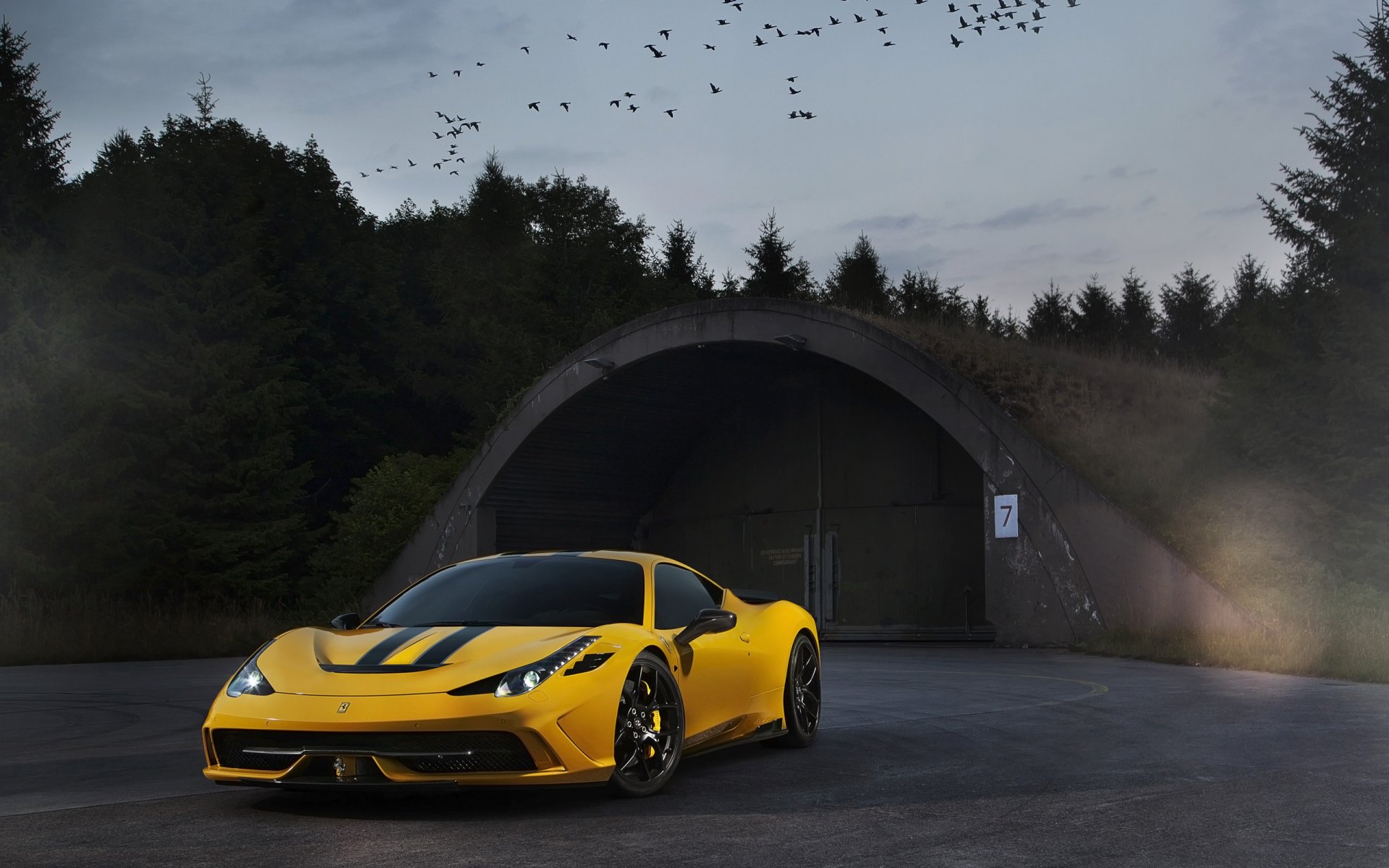 ferrari 458 speciale giallo ferrari crepuscolo uccelli cielo