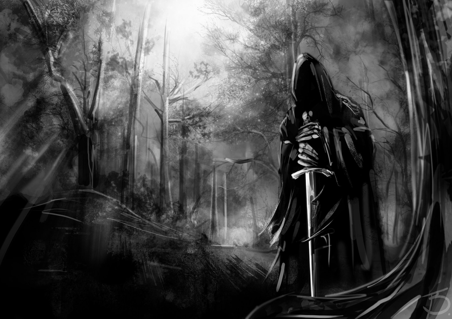 bourreau fond d écran sombre fantôme forêt nature arbre nazgul épée nazgul forêt obscurité obscurité gris mort capot dessins anime