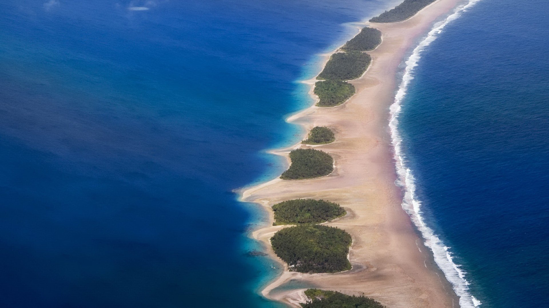 mar isla árboles marea trenza