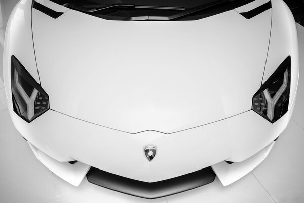 El Lamborghini blanco es hermoso en su simplicidad