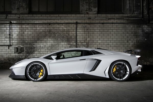 Lamborghini aventador white lamborghini aventador