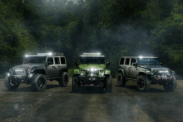 Three jeeps went to the arrow in the forest