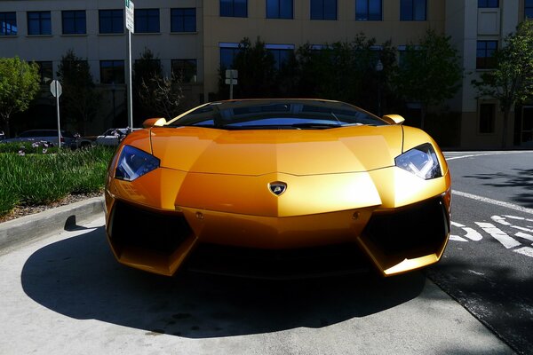 Жёлтый Lamborghini aventador lp700-4