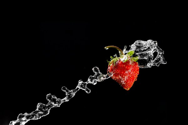 Leckere Erdbeeren mit frischem Wasser