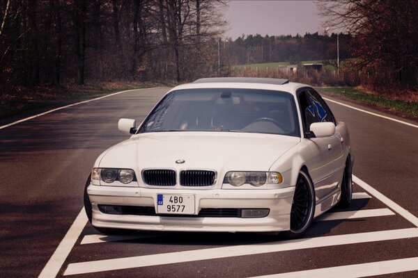 BMW E38 blanco con Boomer en la carretera