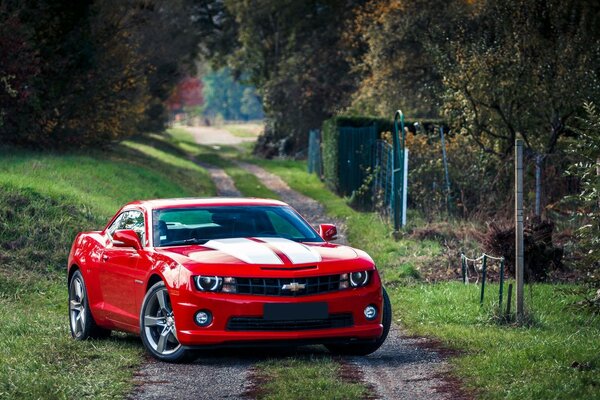 Red chevrolet camaro oil car