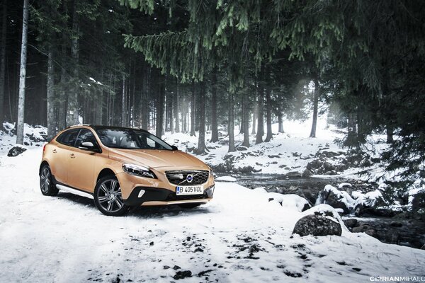 Incroyable Volvo dans les bois sur la route