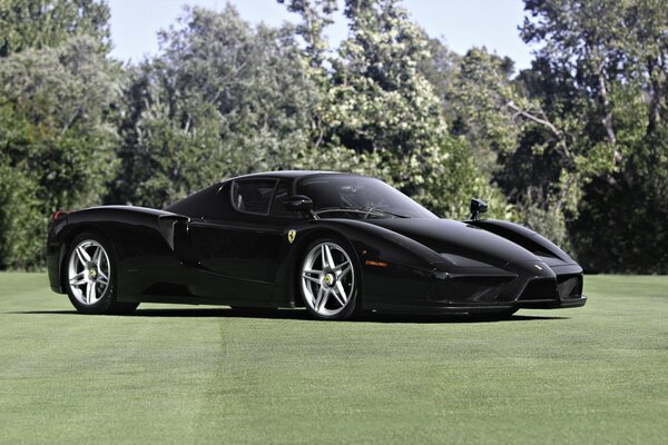 Ferrari chic sul prato nel parco