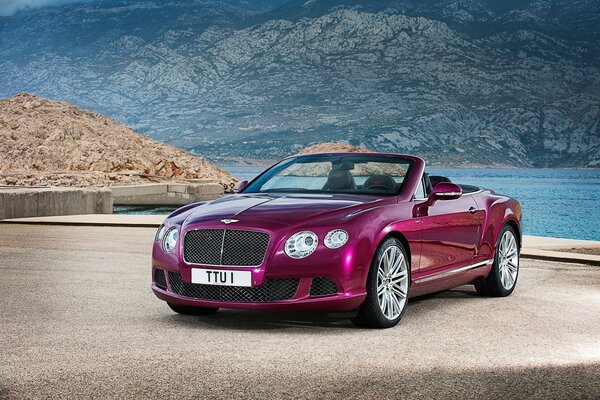 Bentley sullo sfondo di un bellissimo paesaggio