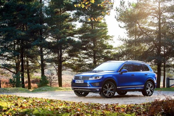 Volkswagen azul en el bosque