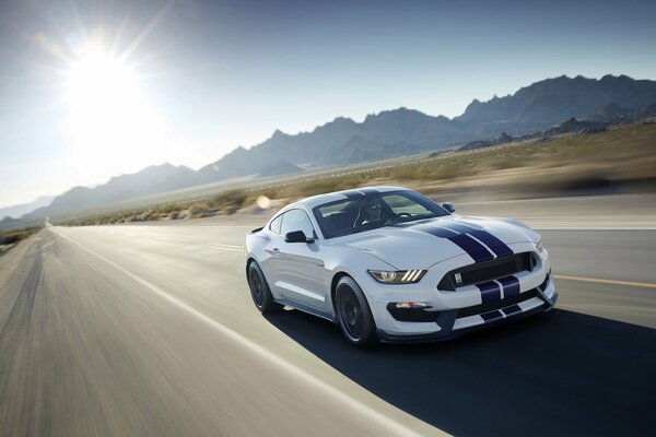 Ford Mustang Shelby biały 2016