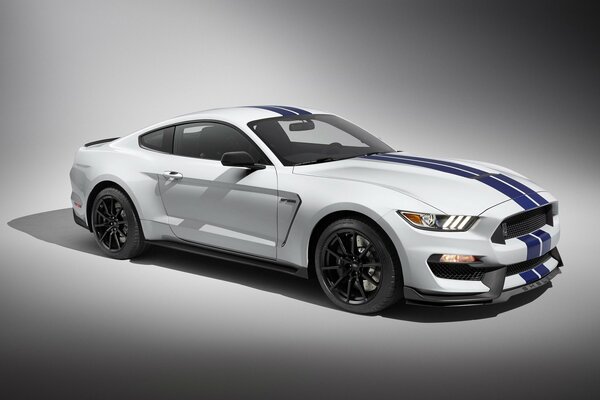 Ford Mustang Shelby blanco