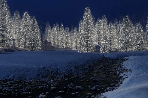 Schöne Natur in der Nacht vor Neujahr