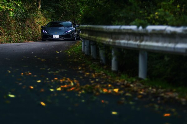 Un coche negro viaja por la carretera en la época de otoño