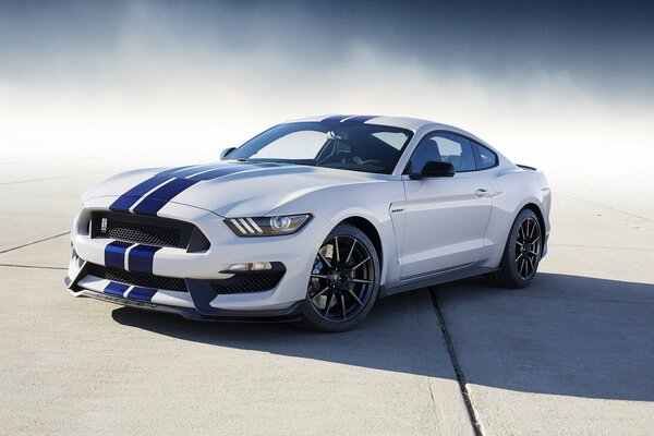 Ford Mustang Shelby 2016 bianco