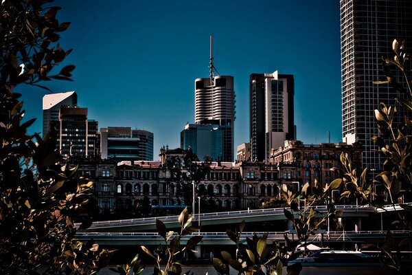 Urban landscape behind the leaves of trees