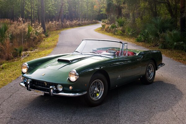 A stylish car against the background of the forest is trying to slow down