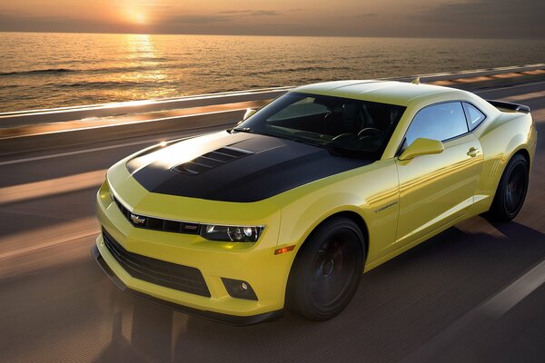 Chevrolet camaro жёлтая 2014 года