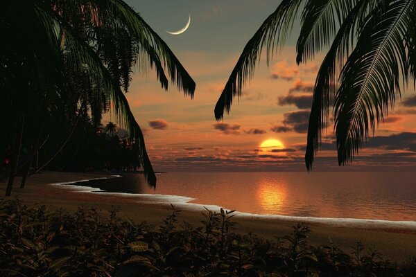 Romántico paisaje marino con palmeras, puesta de sol y Luna