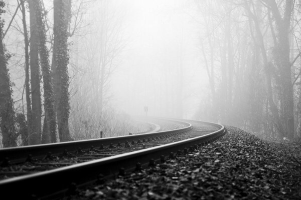 Eisenbahn im nebligen Wald