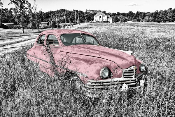 Voiture Vintage rouge oublié dans le champ