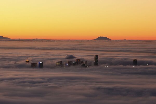 Evening city with lights and fog