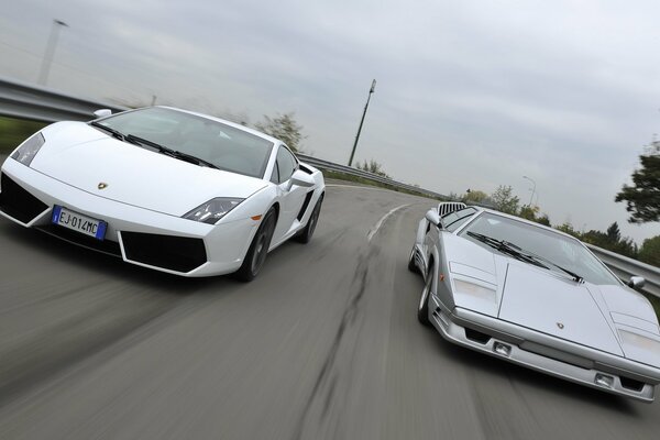 Blanc Lamborghini et gris gallardo