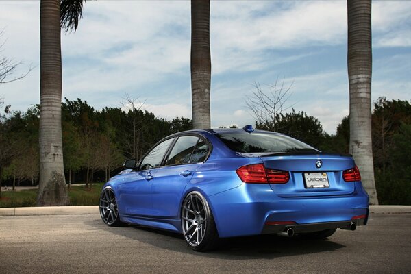 Blue BMW car near the trees