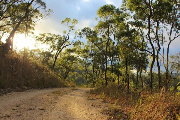 Dry grass on the road does not spoil the landscape