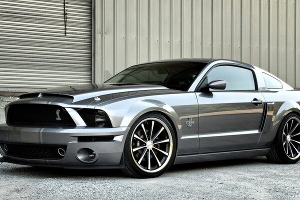 Ein sportlicher Mustang im Stil