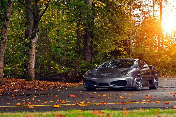 Autumn foliage grey Ferrari on narrow rubber