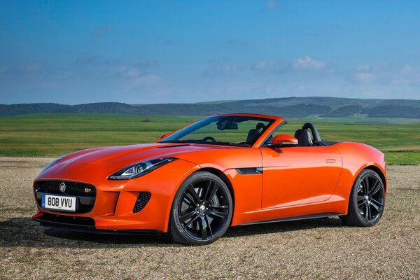 Jaguar Cabrio auf der Straße inmitten eines grünen Feldes