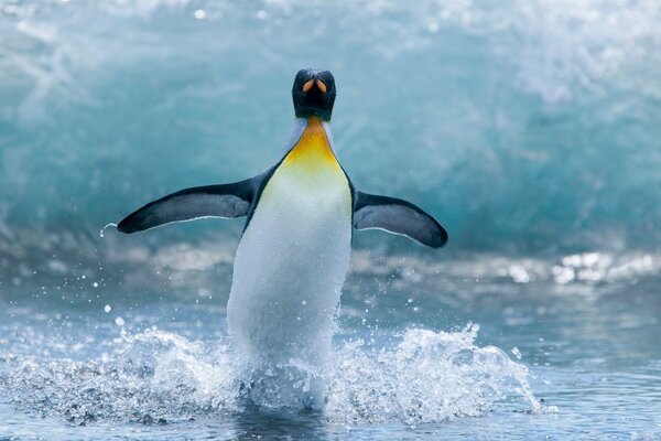 Pinguino su uno sfondo di onde con spruzzi