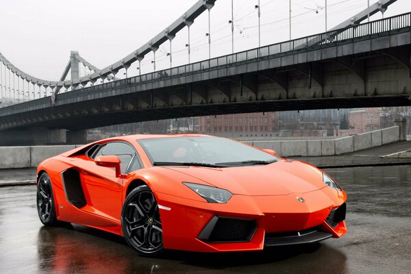 Lamborghini Aventador orange asphalte humide