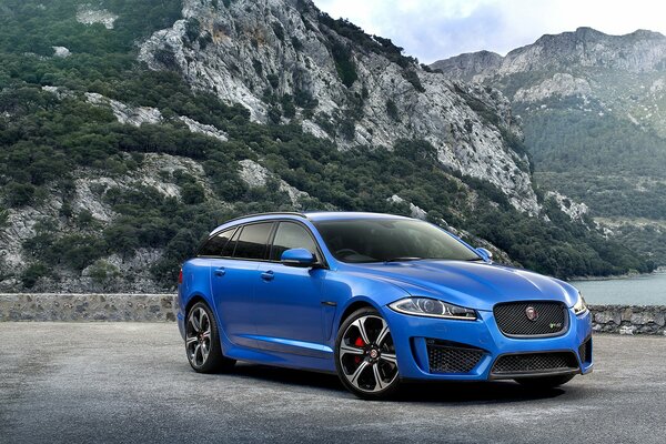 Magnificent blue jaguar on the background of morning mountains and lake