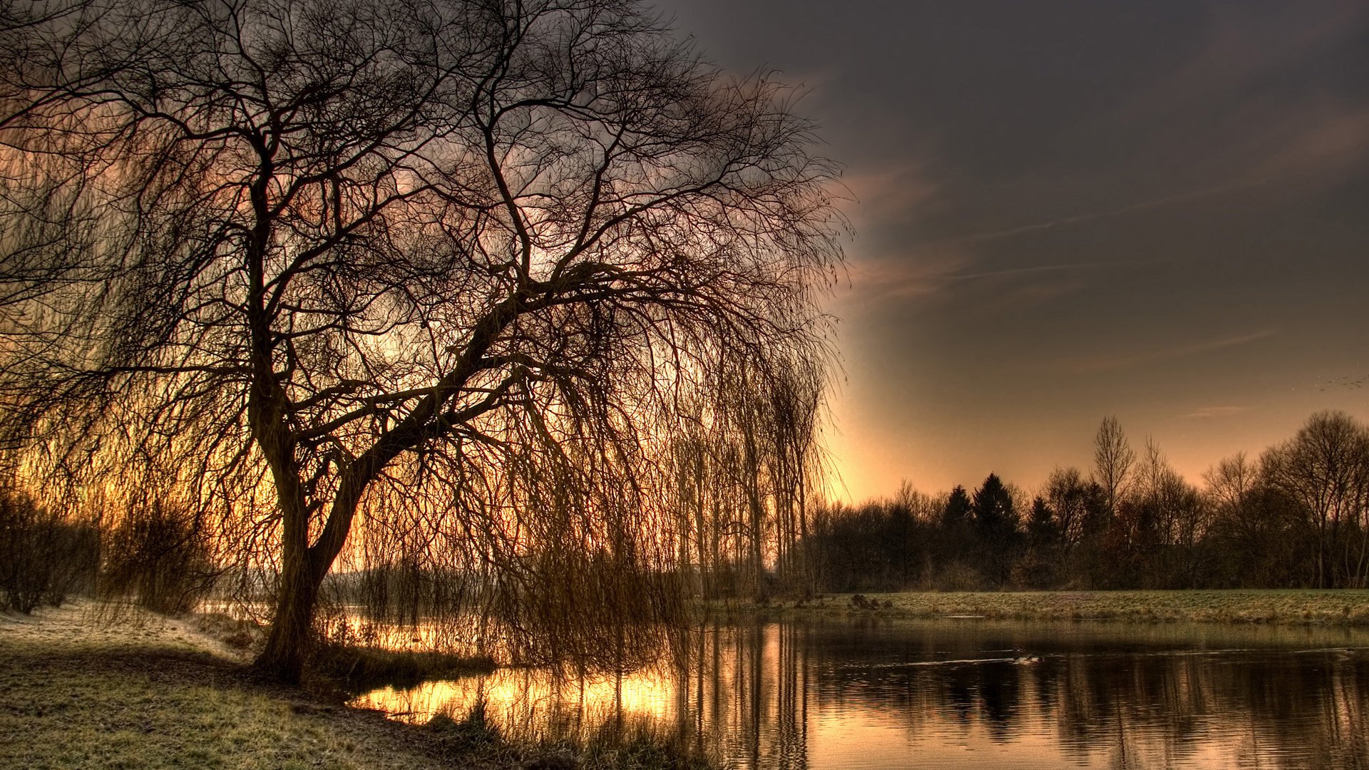 red blay nature river forest water trees the sky sunset landscape branches a dry tree the evening shore